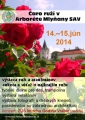 Čaro ruží v Arboréte Mlyňany SAV 2014